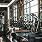 Gym Locomotion